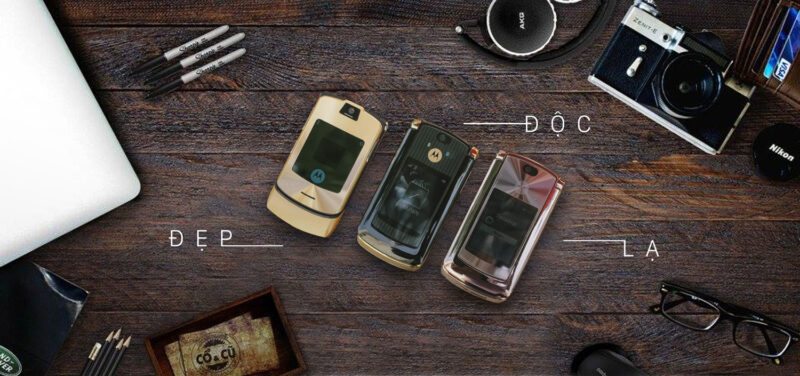 MẪU MÃ ĐA DẠNG